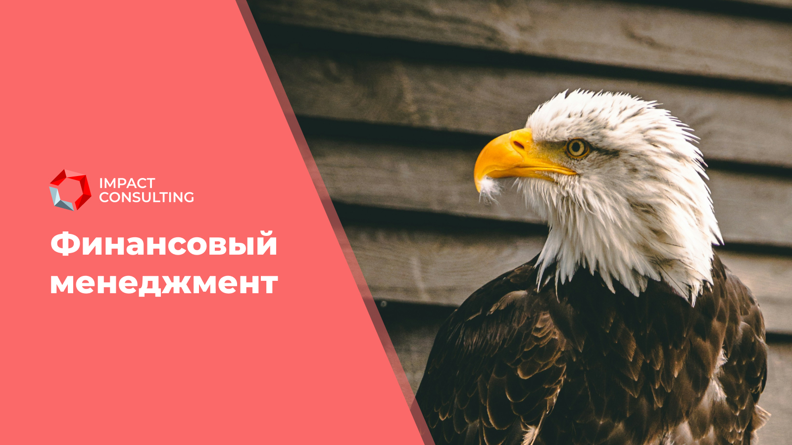 Финансовый менеджмент #1