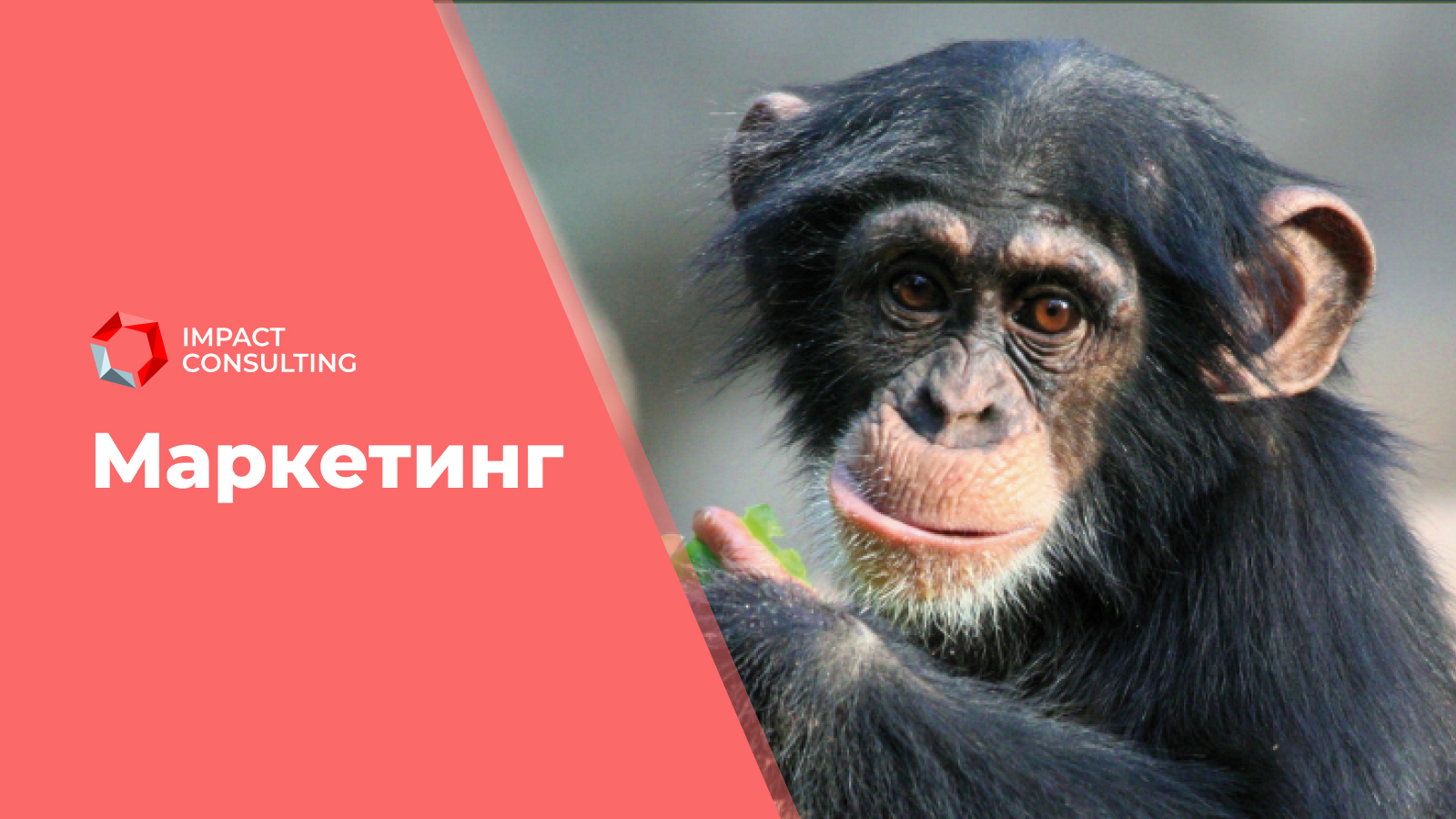 Маркетинг микс #1